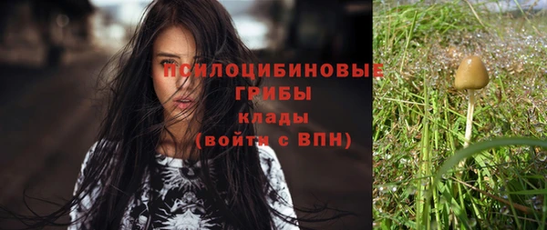 дурь Арсеньев